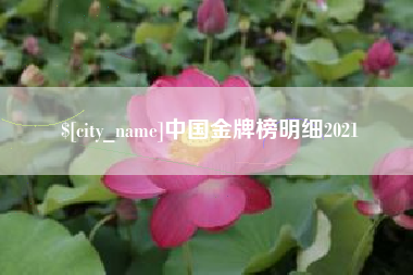 娄底中国金牌榜明细2021