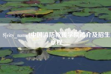 娄底中国消防救援学院简介及招生章程