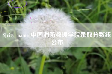 娄底中国消防救援学院录取分数线公布