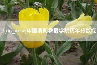 娄底中国消防救援学院历年分数线