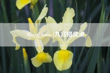 娄底九宫格优点
