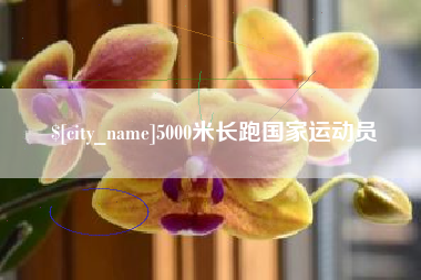 娄底5000米长跑国家运动员