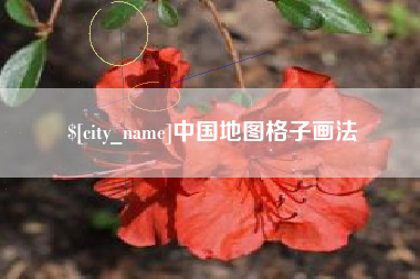 娄底中国地图格子画法