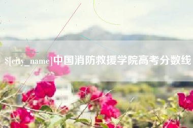娄底中国消防救援学院高考分数线
