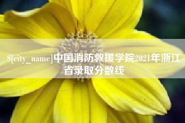 娄底中国消防救援学院2021年浙江省录取分数线