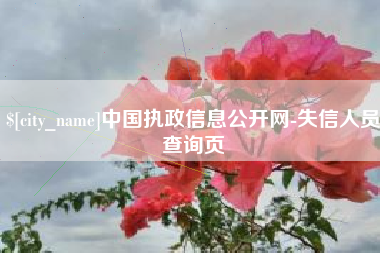 娄底中国执政信息公开网-失信人员查询页