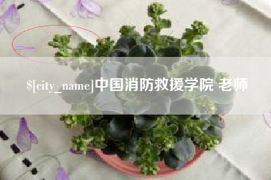 娄底中国消防救援学院 老师