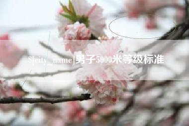 娄底男子5000米等级标准