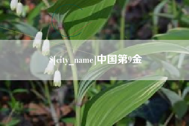 娄底中国第9金