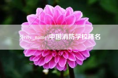 娄底中国消防学校排名