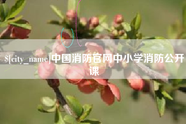 娄底中国消防官网中小学消防公开课