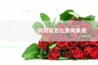 娄底消防证怎么查询系统