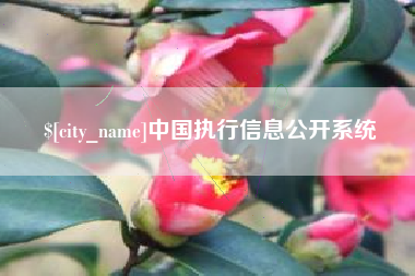 娄底中国执行信息公开系统