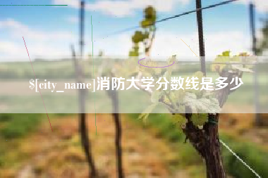 娄底消防大学分数线是多少