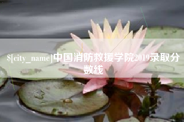 娄底中国消防救援学院2019录取分数线