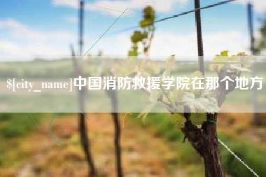 娄底中国消防救援学院在那个地方