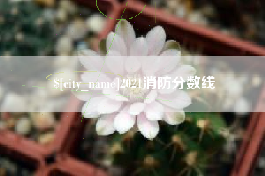 娄底2021消防分数线