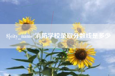 娄底消防学校录取分数线是多少