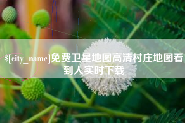 娄底免费卫星地图高清村庄地图看到人实时下载