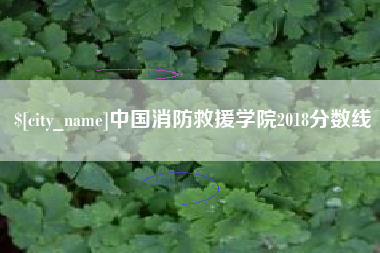 娄底中国消防救援学院2018分数线