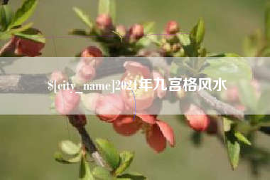 娄底2021年九宫格风水
