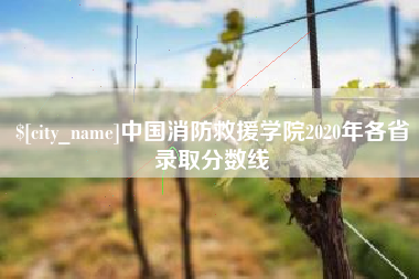 娄底中国消防救援学院2020年各省录取分数线