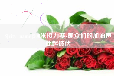 娄底500米接力赛-观众们的加油声此起彼伏