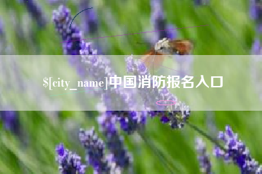 娄底中国消防报名入口