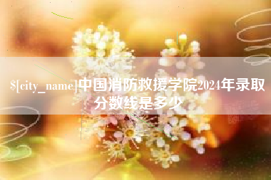 娄底中国消防救援学院2024年录取分数线是多少