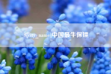娄底中国最牛保镖