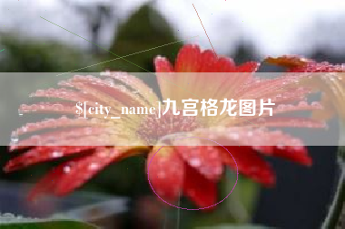 娄底九宫格龙图片