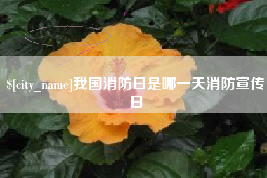 娄底我国消防日是哪一天消防宣传日