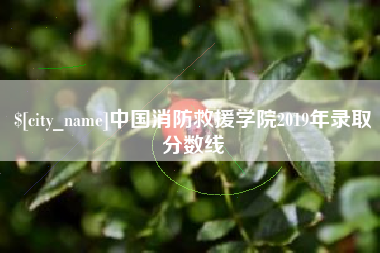 娄底中国消防救援学院2019年录取分数线