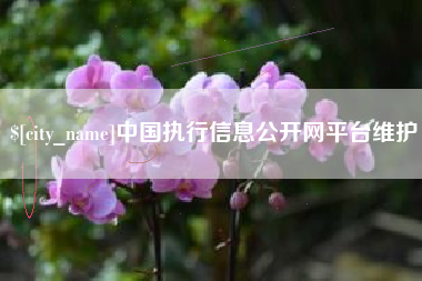 娄底中国执行信息公开网平台维护