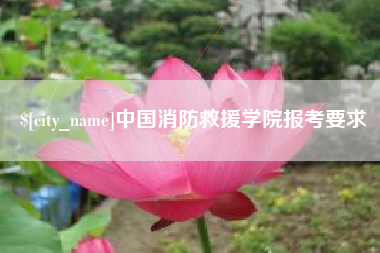 娄底中国消防救援学院报考要求