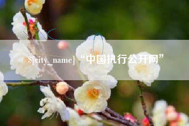娄底“中国执行公开网”