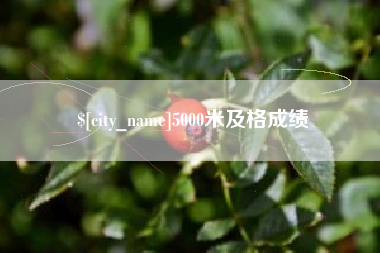 娄底5000米及格成绩