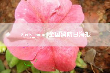 娄底全国消防日海报