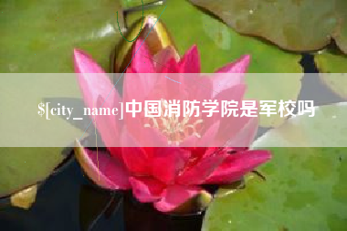 娄底中国消防学院是军校吗