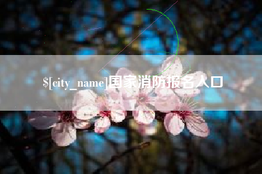 娄底国家消防报名入口