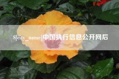 娄底中国执行信息公开网后