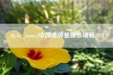 娄底中国金牌是哪些项目2021