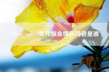 娄底第九枚金牌获得者是谁