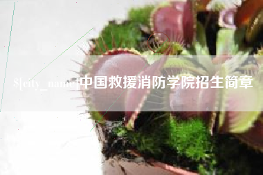 娄底中国救援消防学院招生简章