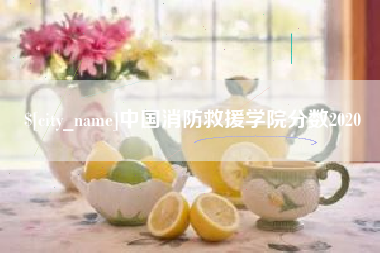 娄底中国消防救援学院分数2020