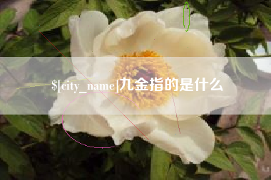 娄底九金指的是什么