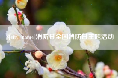 娄底消防日全国消防日主题活动