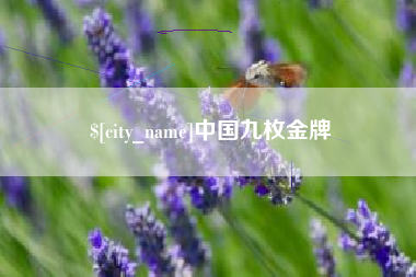 娄底中国九枚金牌