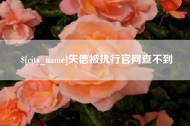 娄底失信被执行官网查不到