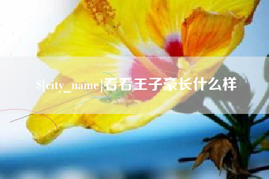 娄底看看王子豪长什么样